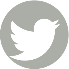 Logo Twitter