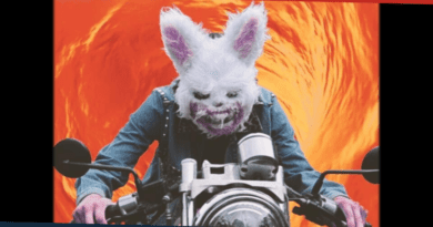 Ästra Energizer Hunny Portada