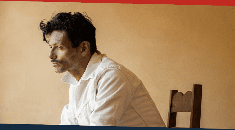 imagen de draco rosa sentado en una silla.