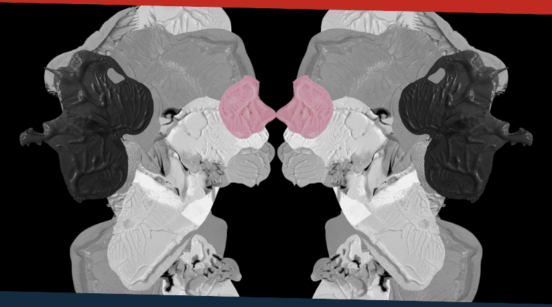 Cuarteto De Nos Ciudad Sin Alma Portada