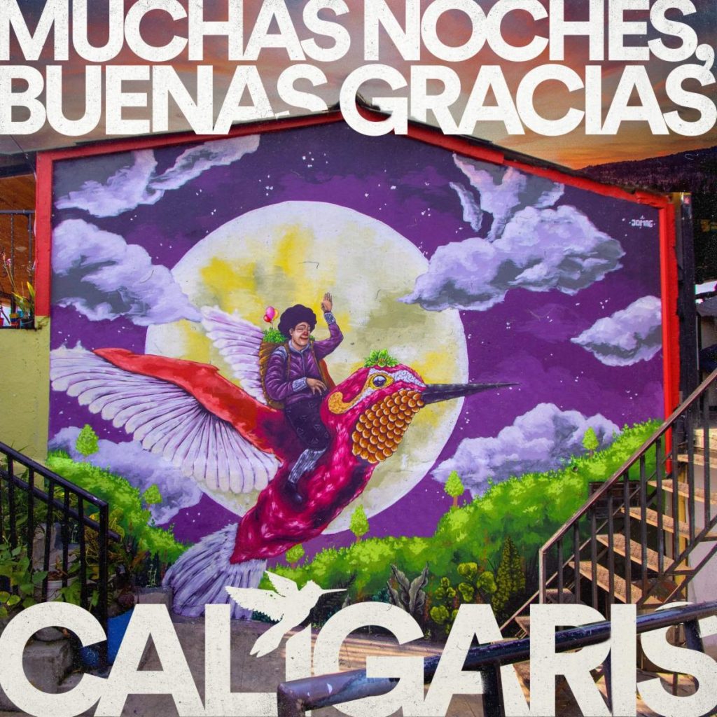 “MUCHAS NOCHES , BUENAS GRACIAS”
